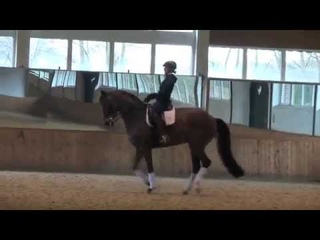 Darcia traning Patrik Kittel
