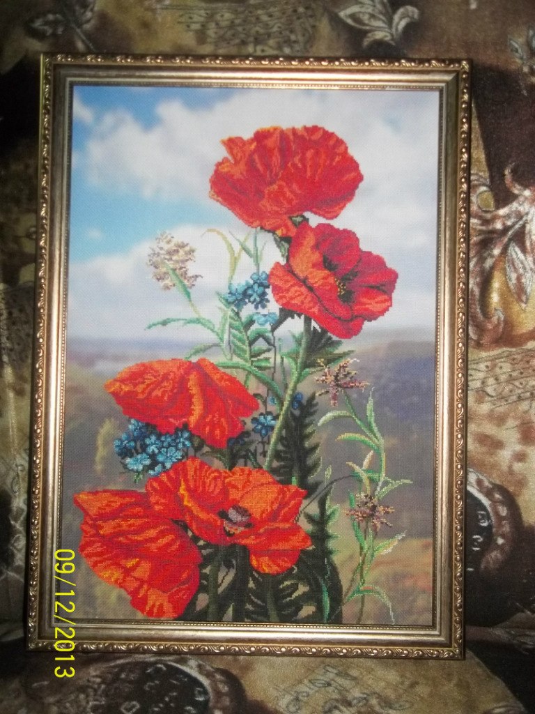 Наталия Трошина | Сокол