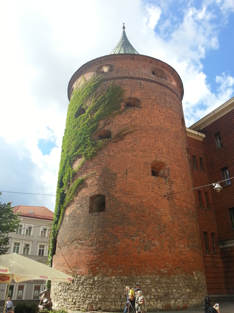 Алексей Миронов | Санкт-Петербург