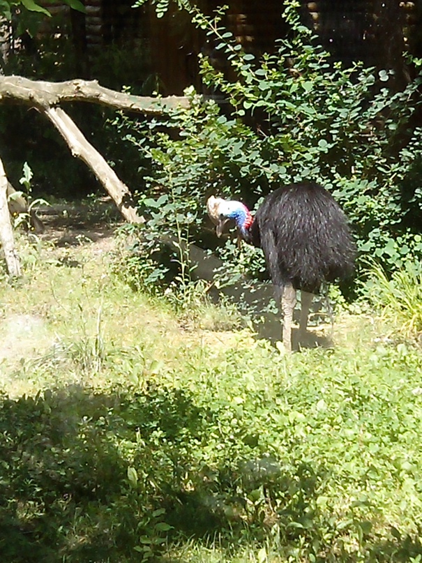 Елена Волынец | Киев