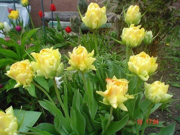 Марина Ситникова | Рыбинск