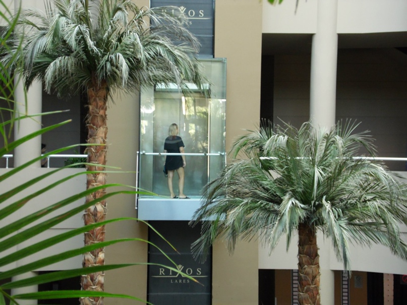 Ольга Прошутинская | Кириши