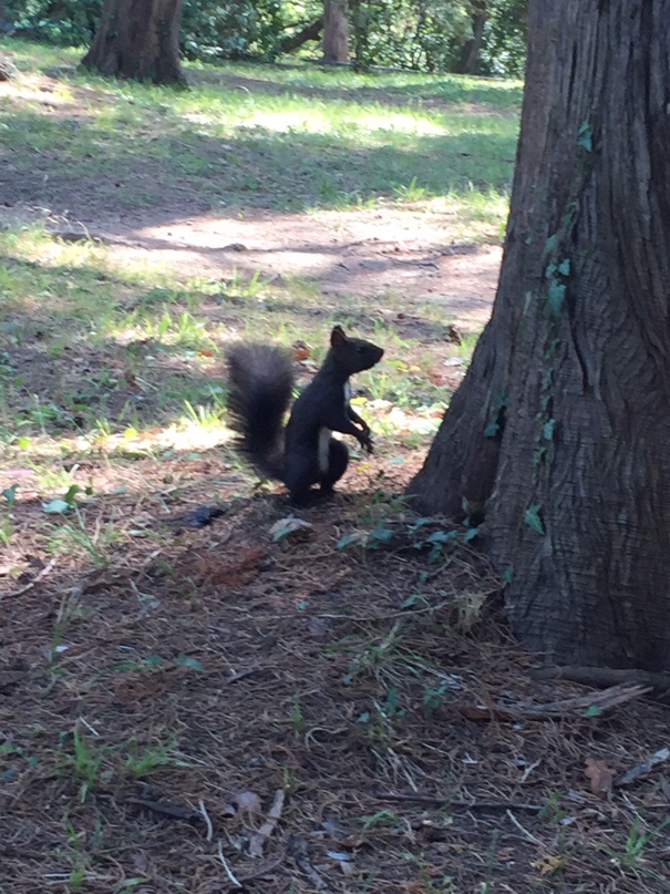 Николай Трусов | Волжский