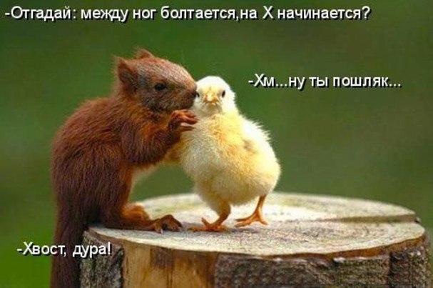 Татьяна Фатеева | Улан-Удэ