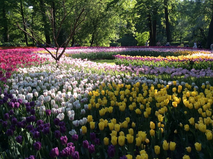 Игорь Сафонов | Санкт-Петербург