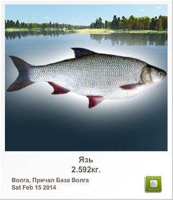 Семен Степанов | Санкт-Петербург