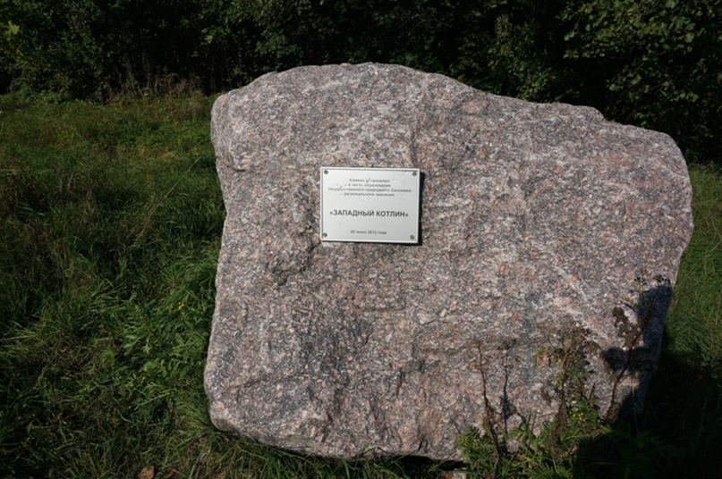 Ольга Степочкина | Санкт-Петербург