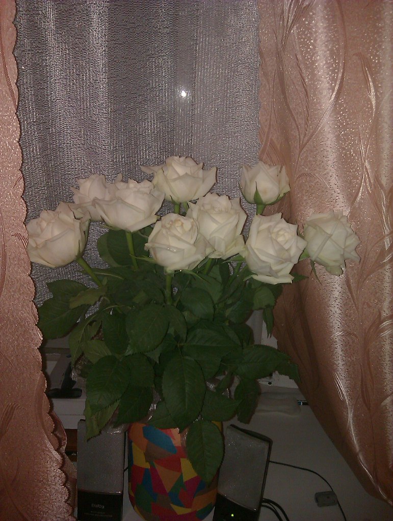 Катя Макарова |