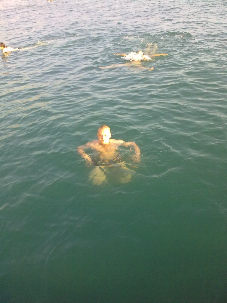 Александр Теплов | Гай