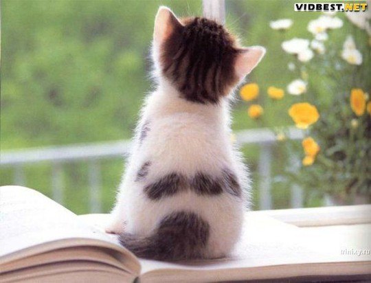 Галина Пьянкова | Осиново