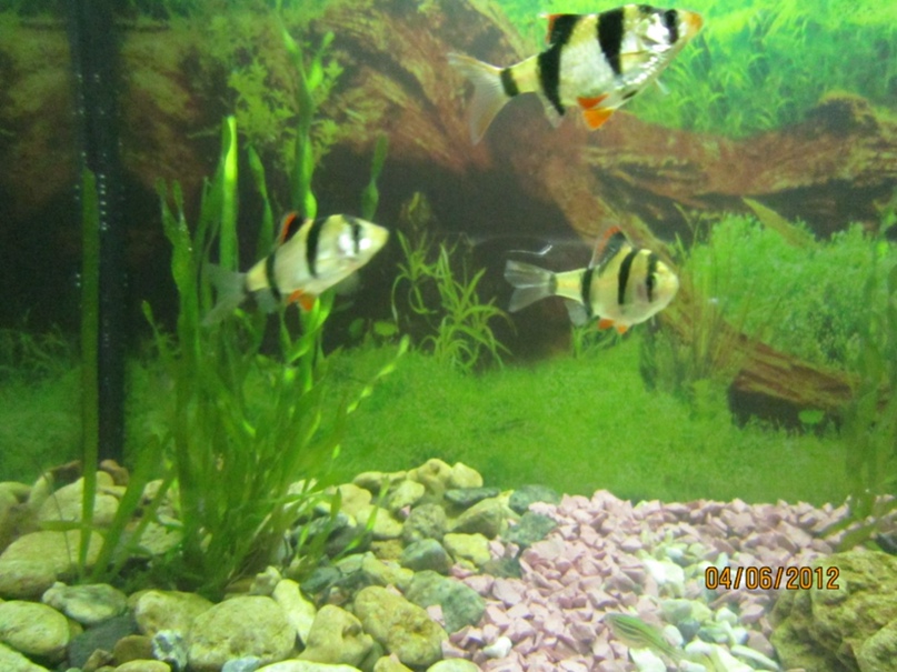 Паша Пугин | Одесса