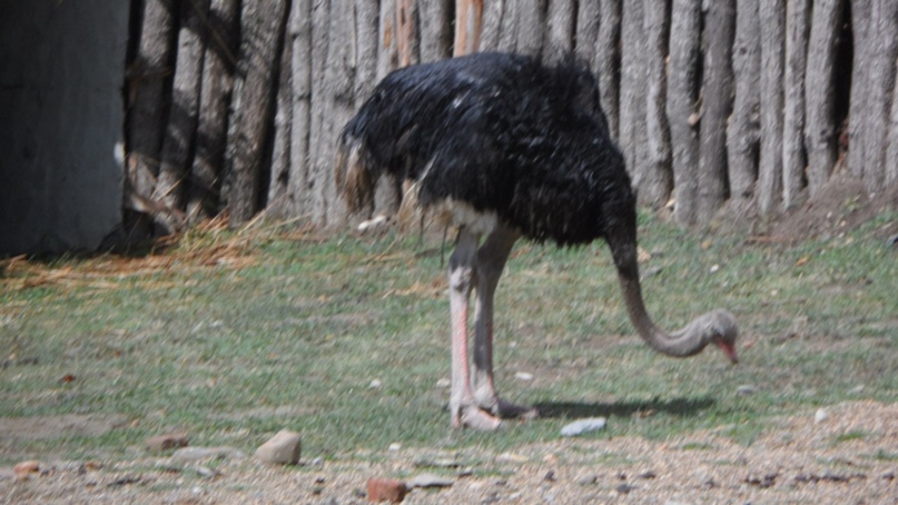 Александр Нилов Stop' Enjoy,СайМоН | Тольятти