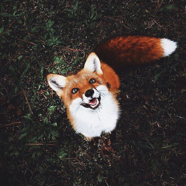 Надежда Насырова | Краснодар