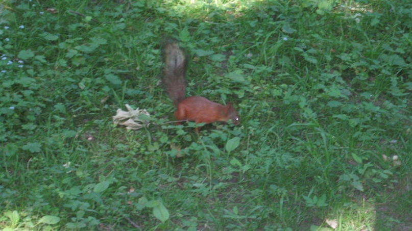 Олег Вершинин | Выборг