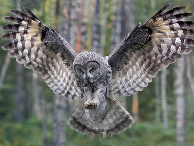 Николай Герасимов | Качканар