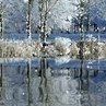 Паша Ковальчук | Хорошев / Володарск-Волынский