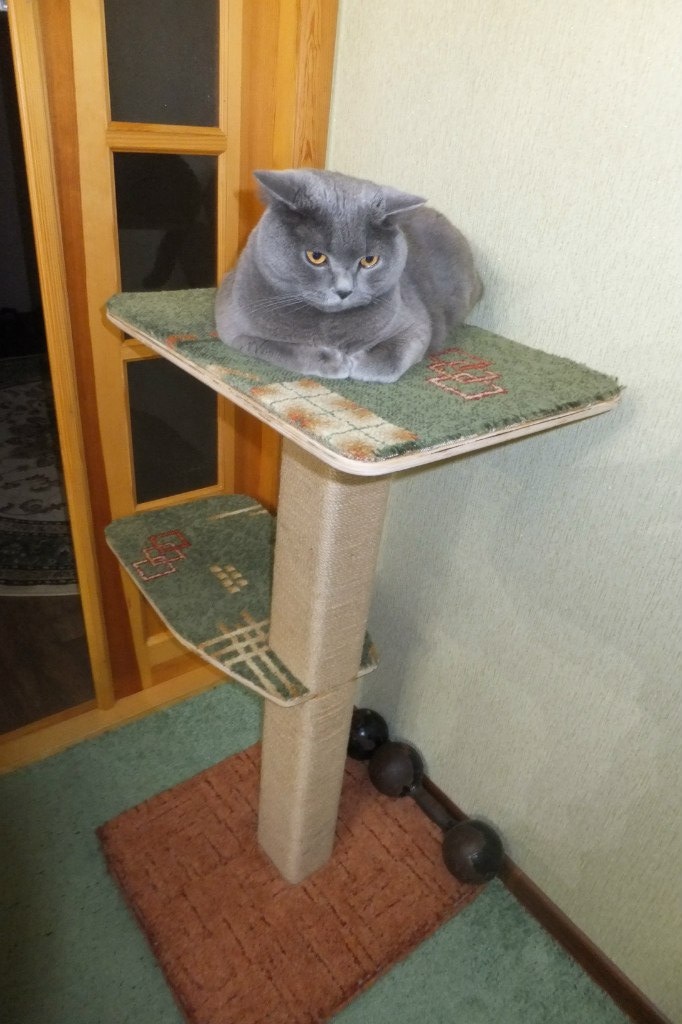 Наталья Щекина | Измаил