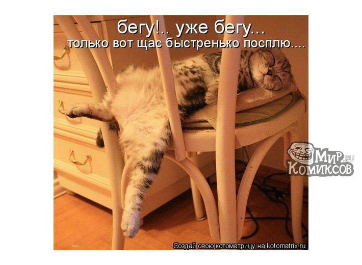 Катя Анатольевна | Сургут
