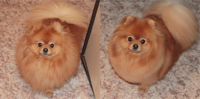 Ирина Лазуткина | Магнитогорск