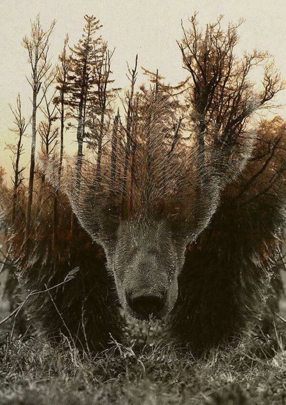 Денис Беляков | Буй