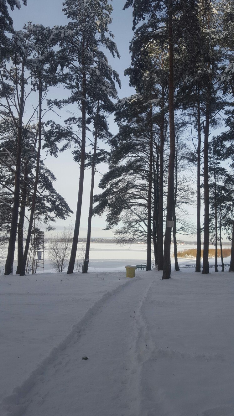 Ольга Емельянова | Санкт-Петербург