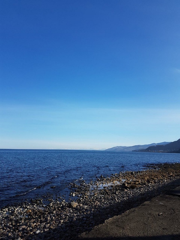 Андрей Глущенко Владимирович | Ровное