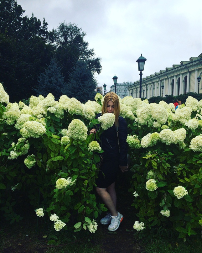 Елена Солнцева | Владимир