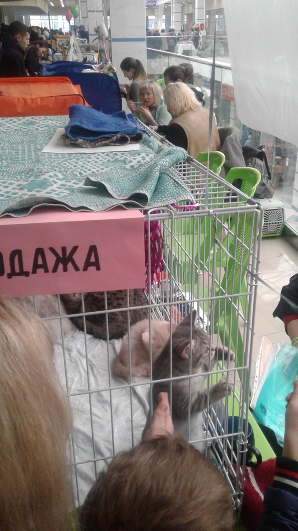 Дмитрий Коровкин | Ижевск