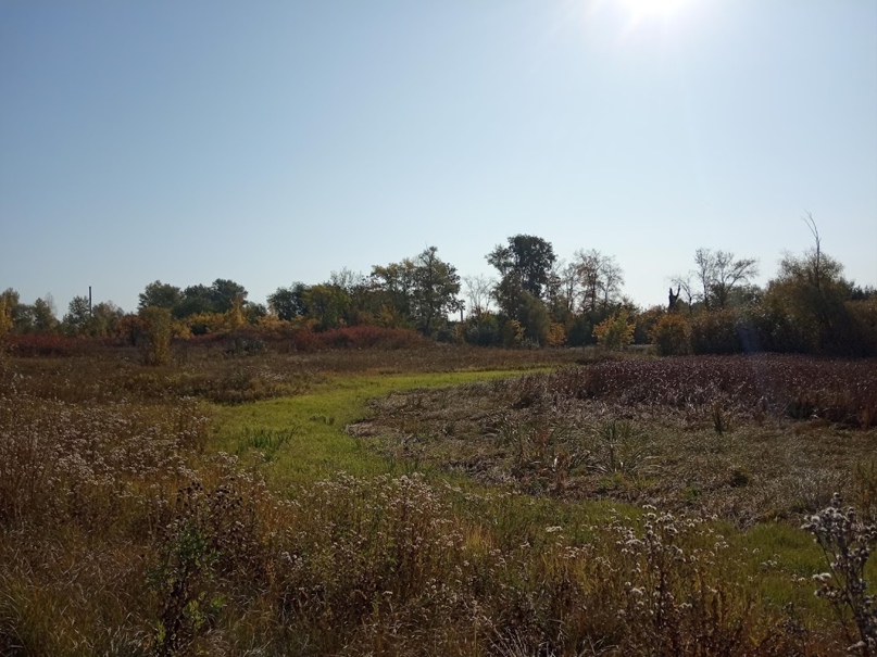 Светлана Касаткина | Кинель