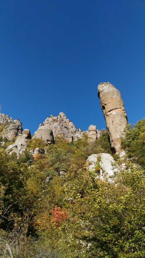 Юля Сергеева | Симферополь