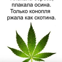 Фотография Ромы Решетова ВКонтакте