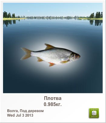 Родион Герасимов | Одесса
