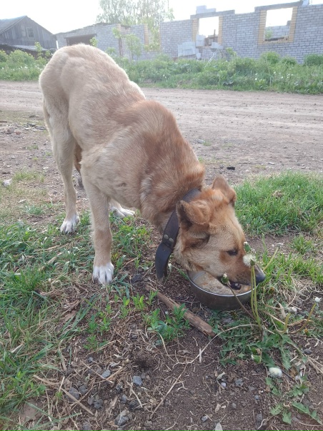 Чья девочка бегает в Шанхае по Тургенева?