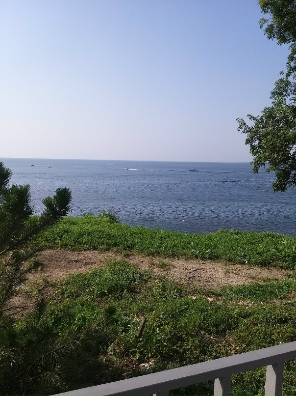 Светлана Березкина | Санкт-Петербург