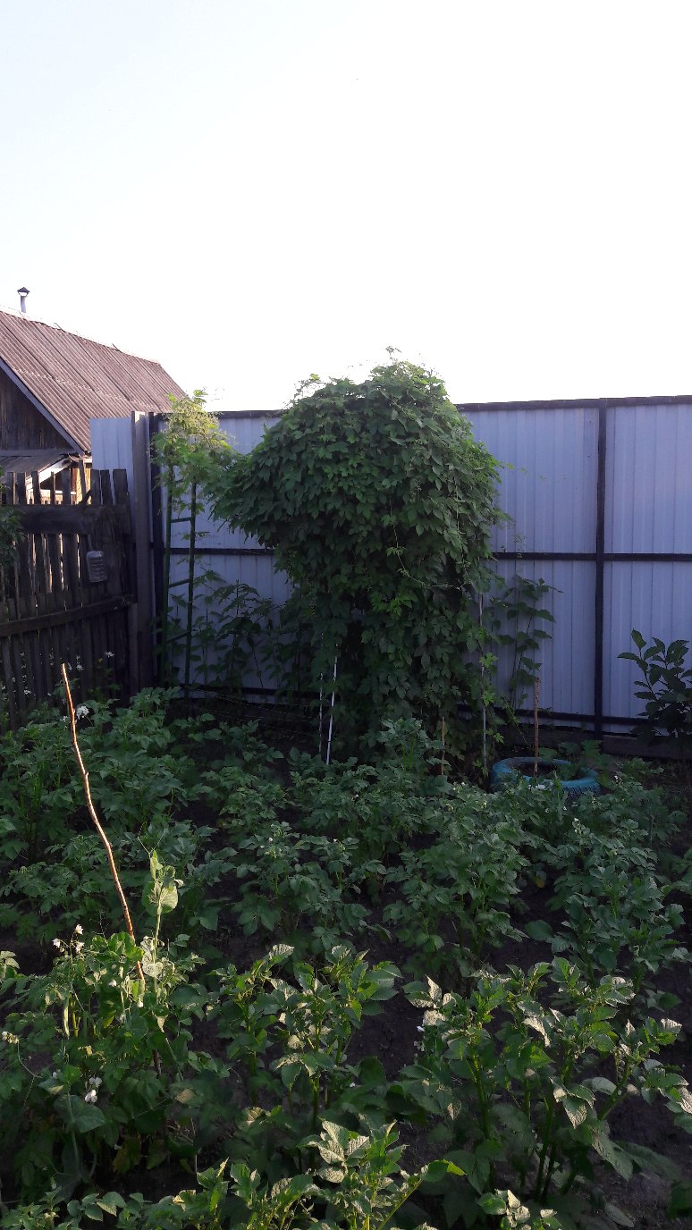 Ирина Ден | Красноярск