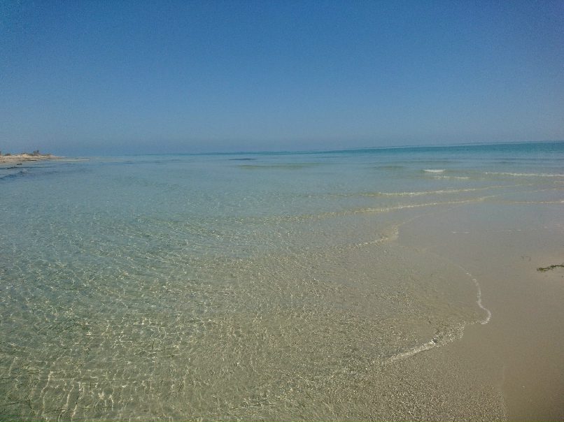 Сергей Меркулов | Санкт-Петербург