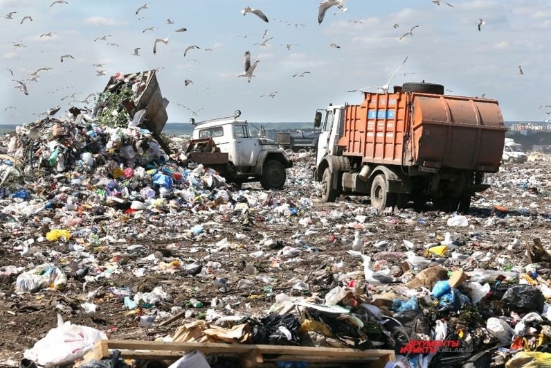 Городская свалка фото