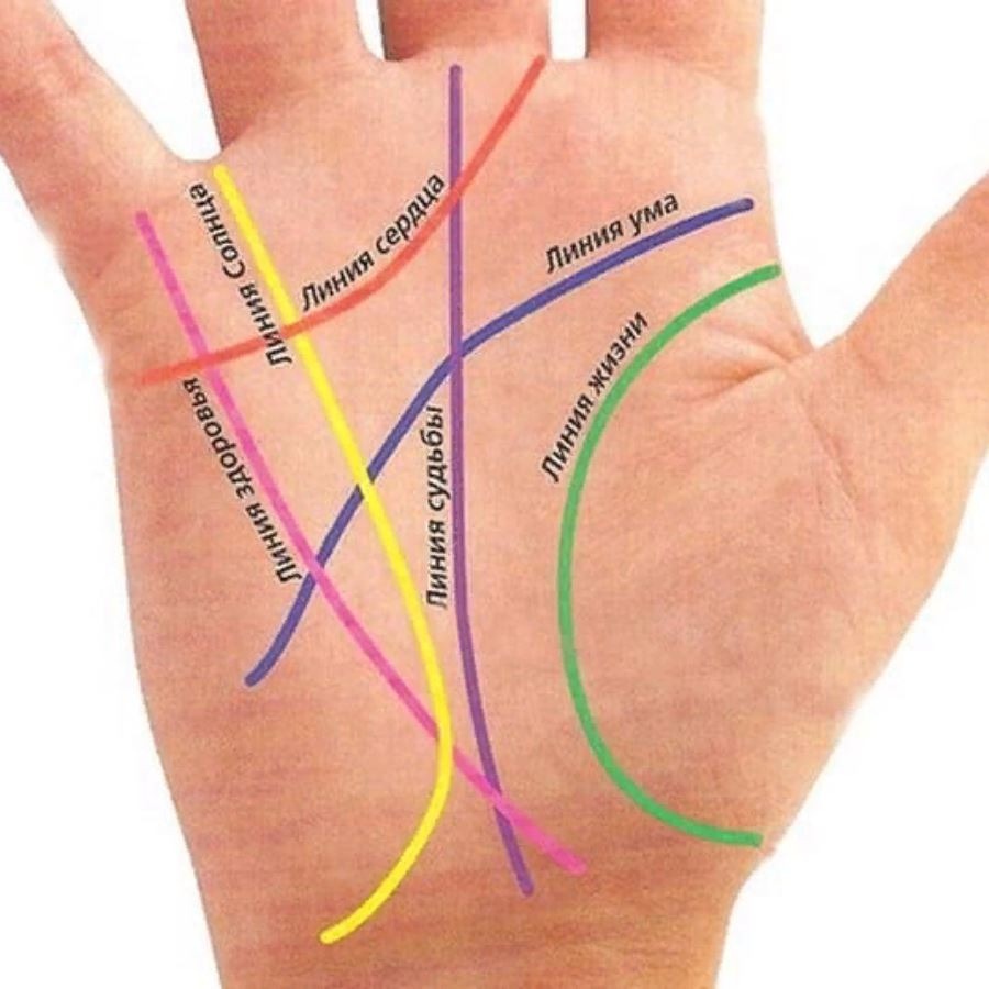 Основные линии жизни. Хиромантия линия судьбы. Линии на ладони. Линия судьбы на руке. Линия жизни на ладони.