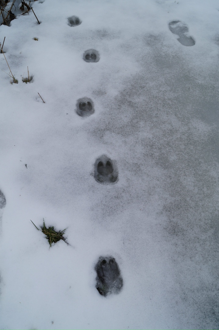 Андрей Гусев |