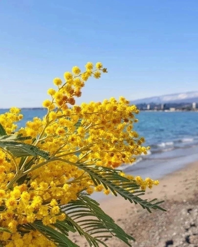 море март
