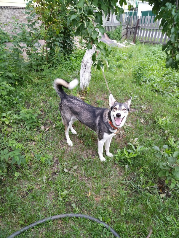 Сергей Стрекалов | Екатеринбург