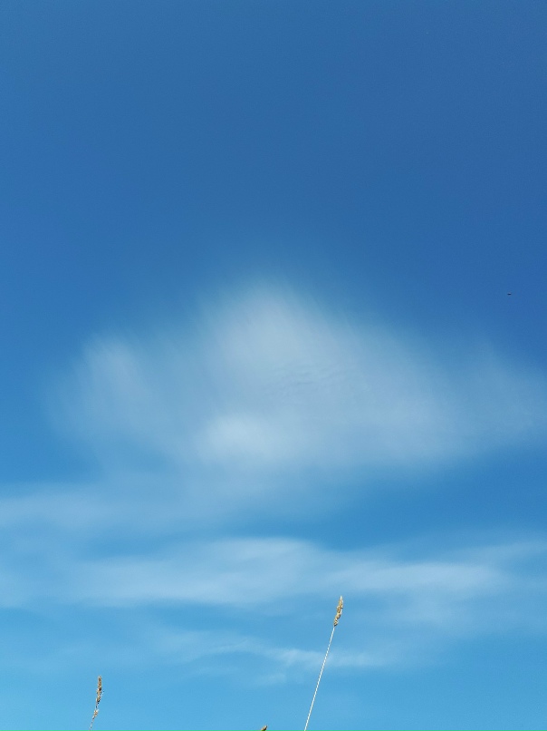 Ольга Мальгина | Пермь