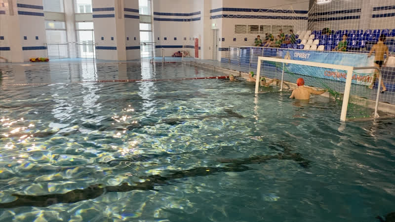 Скат Керамик 08