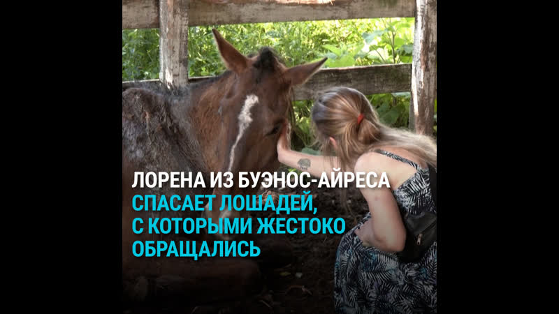 Лорена спасает лошадей, с которыми жестоко