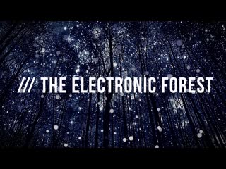 FCKNG SERIOUS Label Night @ The Electronic Forest, Mauritius - Aftermovie