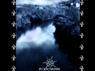 L'edelweiss Noir - Petracorensis - Bainac - 04