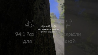 Ибрахим аль-Асири - Сура 94. Аш-Шарх (Раскрытие)💚#quran #islam #коран #ислам #muhammad #surah