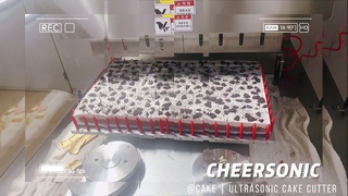 Share the cake with you- Ultrasonic Slicer - Cheersonic