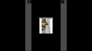 Вот так бы среди людей  Своих не бросим  Смешные коты