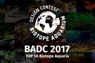 ТОП50 Международного конкурса дизайна биотопных аквариумов BADC2017